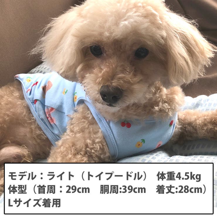 犬 服 犬服 | K-city | 詳細画像3 