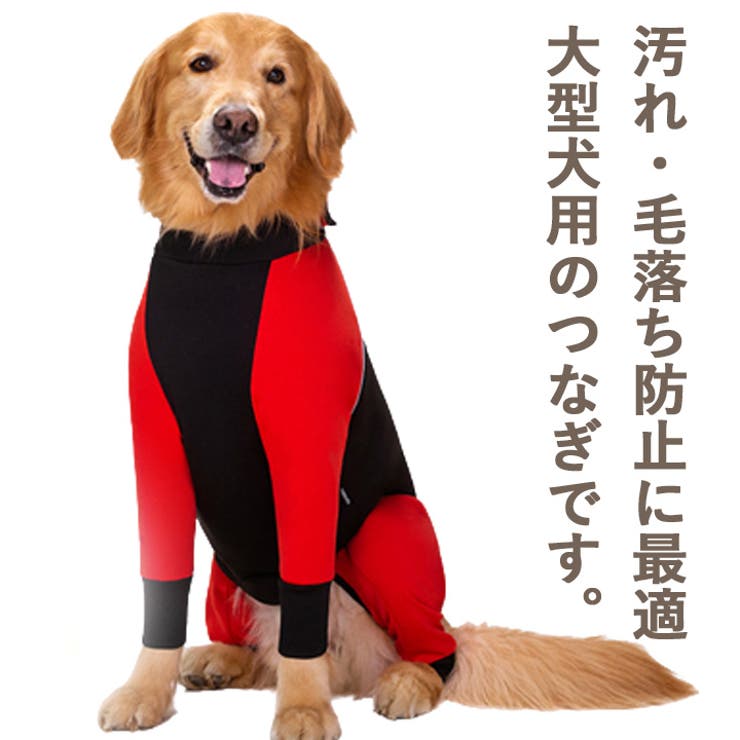 犬 服 犬服[品番：NX000006718]｜K-city（ケイシティ）の