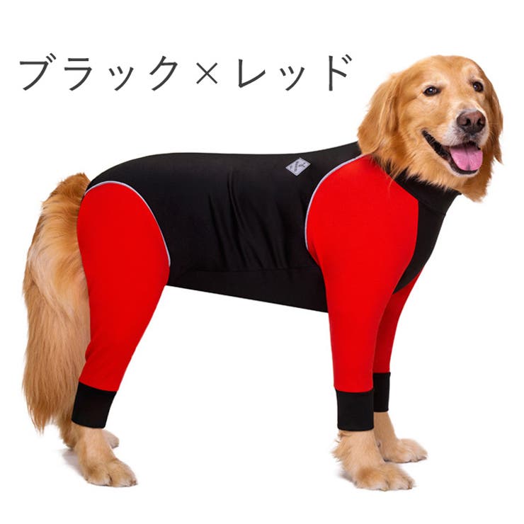 海外ファッションブランド通販サイト【公式】 犬 服 犬服[品番：NX000006718]｜K-city（ケイシティ）の 果物