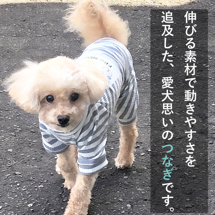 犬 服 犬服 | K-city | 詳細画像2 