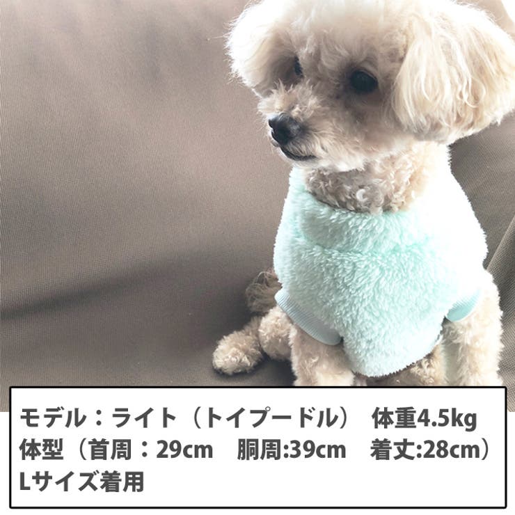 犬 服 犬服[品番：NX000006778]｜K-city（ケイシティ）の