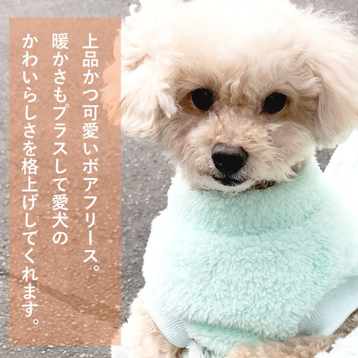 犬 服 犬服 | K-city | 詳細画像6 