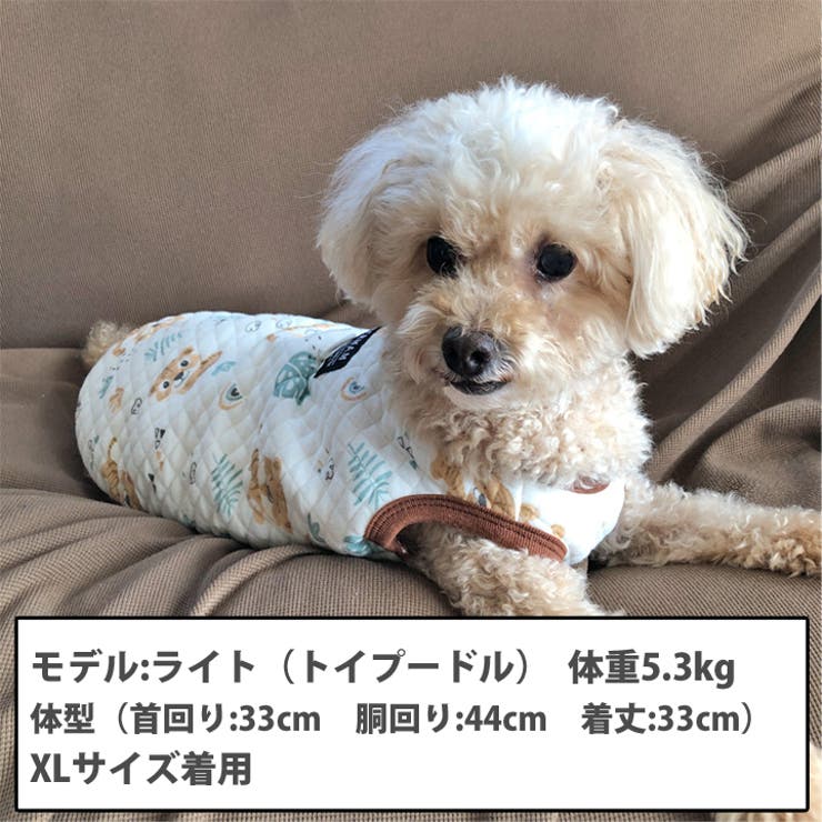 犬 服 犬服[品番：NX000006889]｜K-city（ケイシティ）のファッション