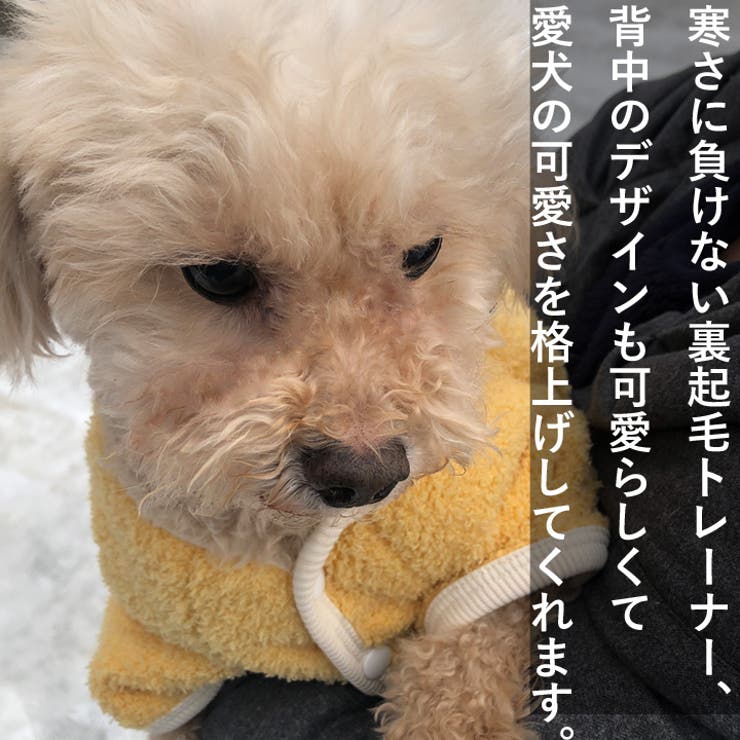 犬 服 犬服 | K-city | 詳細画像6 