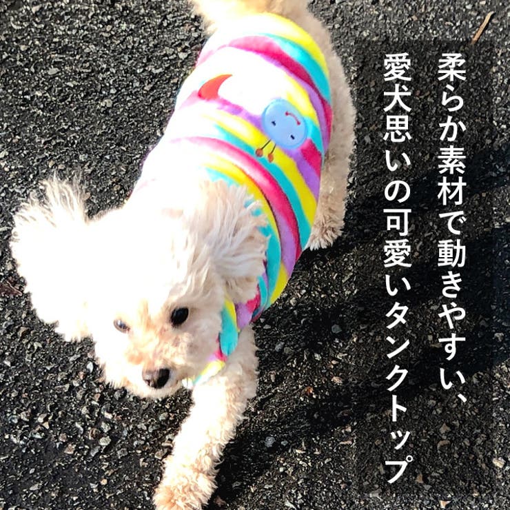 犬 服 犬服 | K-city | 詳細画像2 