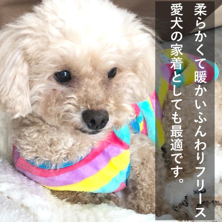 犬 服 犬服 | K-city | 詳細画像6 