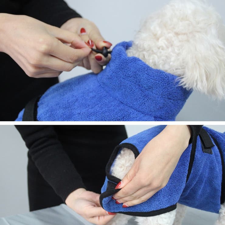 犬 服 犬服 | K-city | 詳細画像5 