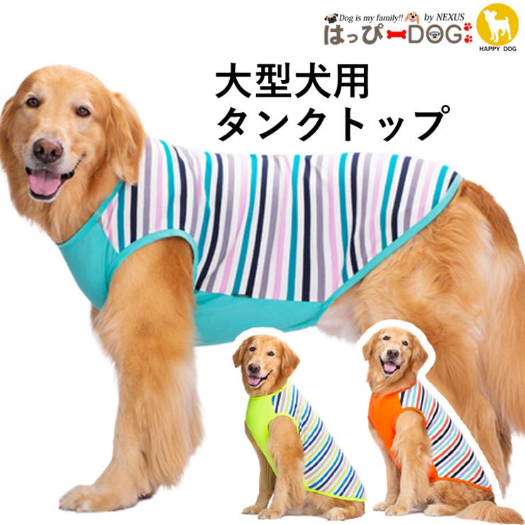 犬 服 犬服[品番：NX000006824]｜K-city（ケイシティ）の