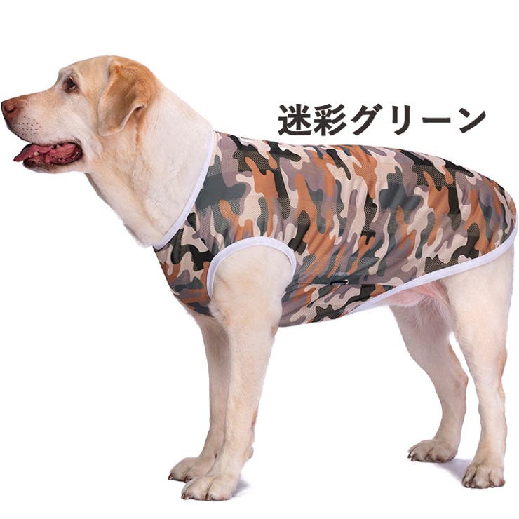 犬 服 犬服 | K-city | 詳細画像3 