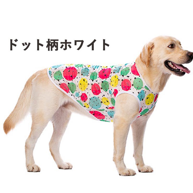 犬 服 犬服 | K-city | 詳細画像7 