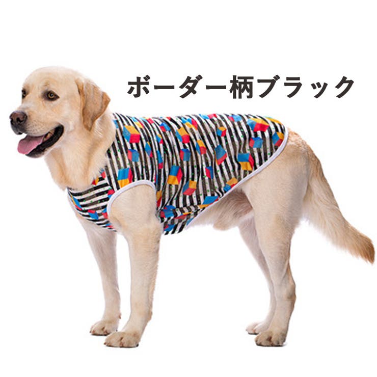 犬 服 犬服 | K-city | 詳細画像8 