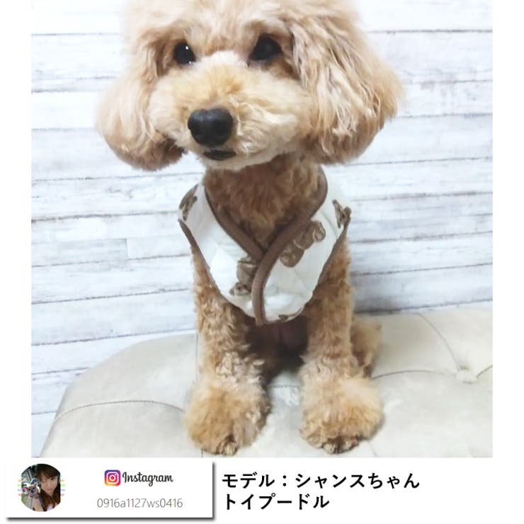 犬 服 犬服 | K-city | 詳細画像2 