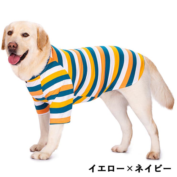 大型犬 犬 服[品番：NX000006849]｜K-city（ケイシティ）の