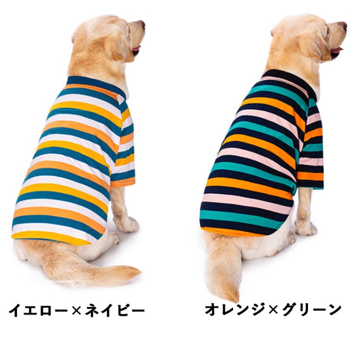 大型犬 犬 服[品番：NX000006849]｜K-city（ケイシティ）の