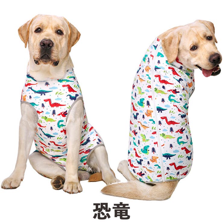 犬 服 犬服[品番：NX000006718]｜K-city（ケイシティ）の