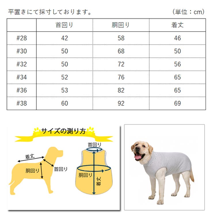 大型犬 犬 服[品番：NX000006848]｜K-city（ケイシティ）の