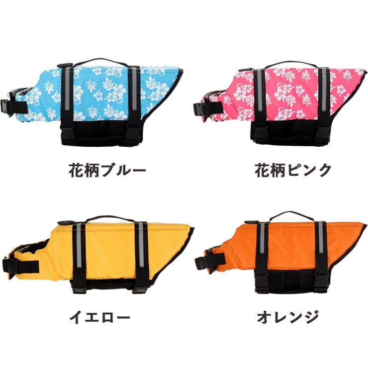 いぬ md33301.jpg