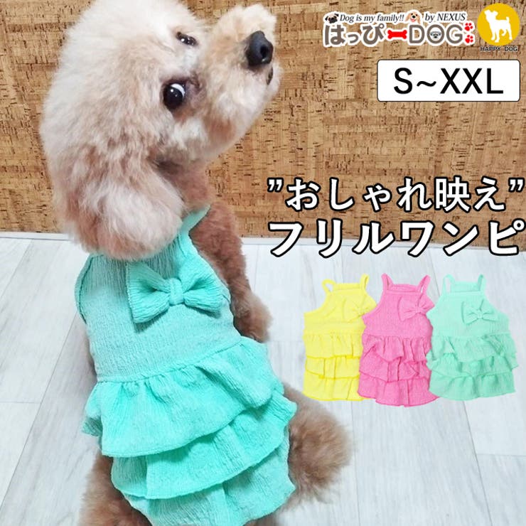 犬 服 犬服 | K-city | 詳細画像1 