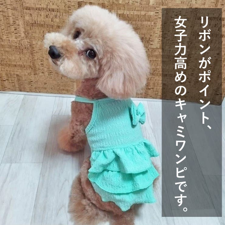 犬 服 犬服 | K-city | 詳細画像2 