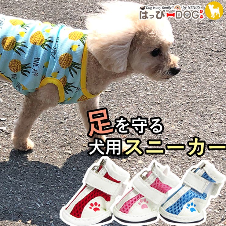 靴 オファー 犬