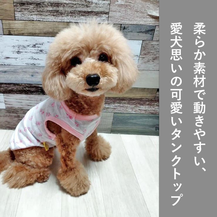 犬 服 犬服 いぬ 犬の服 タンクトップ ノースリーブ 袖なし 小花 柄[品番：NX000006867]｜K-city（ケイシティ）のファッション通販｜SHOPLIST（ショップリスト）