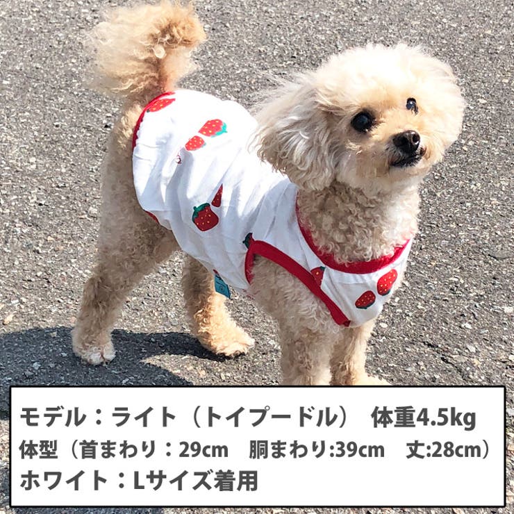 犬 服 犬服 いぬ 犬の服 タンクトップ ノースリーブ 袖なし