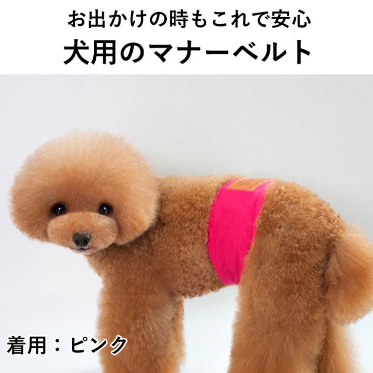 犬 服 犬服 | K-city | 詳細画像2 