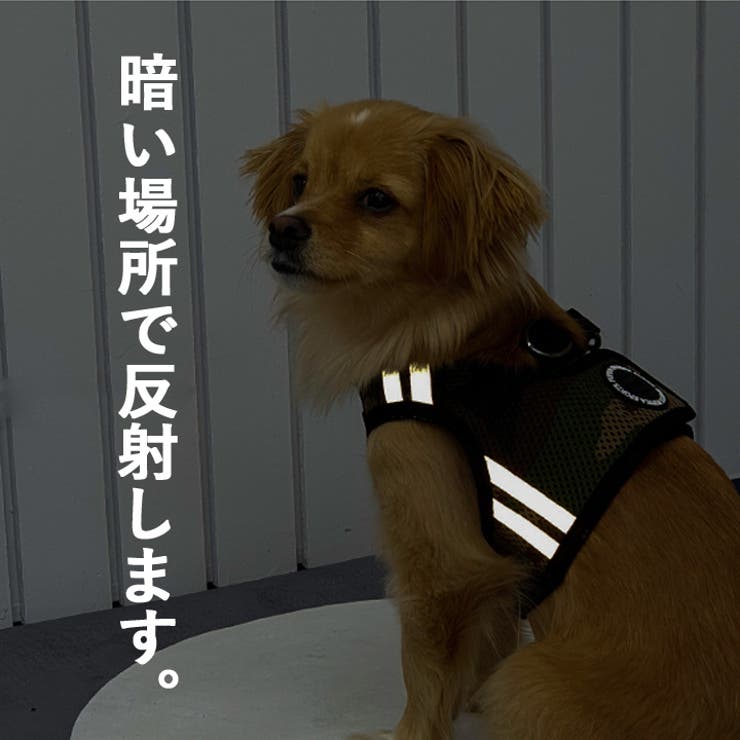 ハーネス 胴輪 犬 | K-city | 詳細画像4 