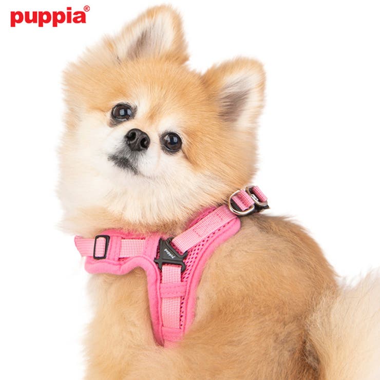 ン 大人気 新品 ノ ハーネス 胴輪 犬[品番：NX000006851]｜K-city（ケイシティ）の お笑い・バラエティ