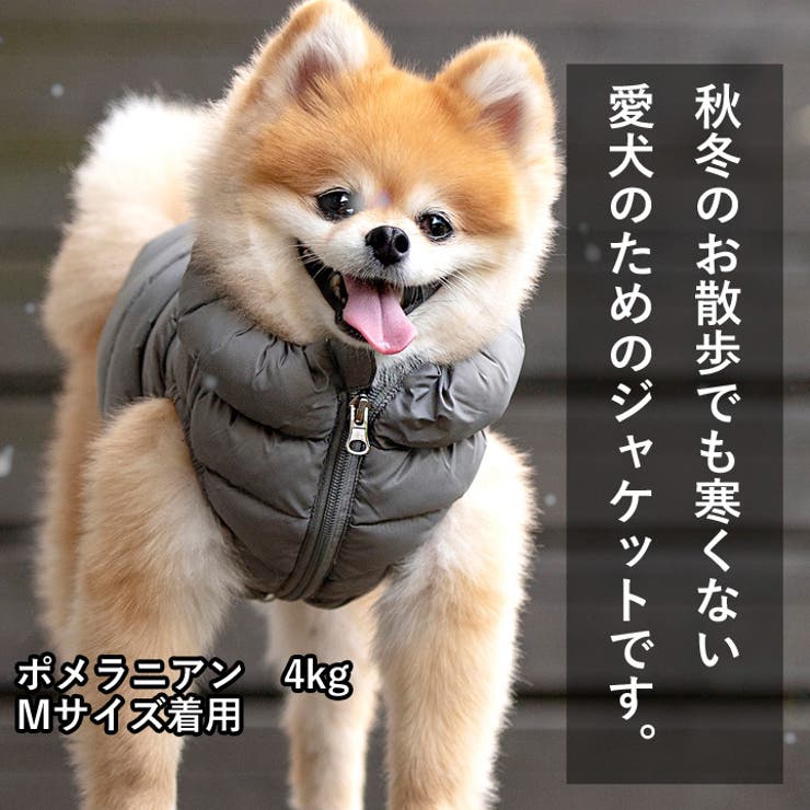 犬 服 犬服[品番：NX000006892]｜K-city（ケイシティ）のファッション