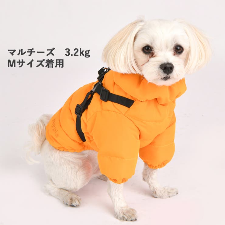 犬 服 犬服[品番：NX000006894]｜K-city（ケイシティ）のファッション 