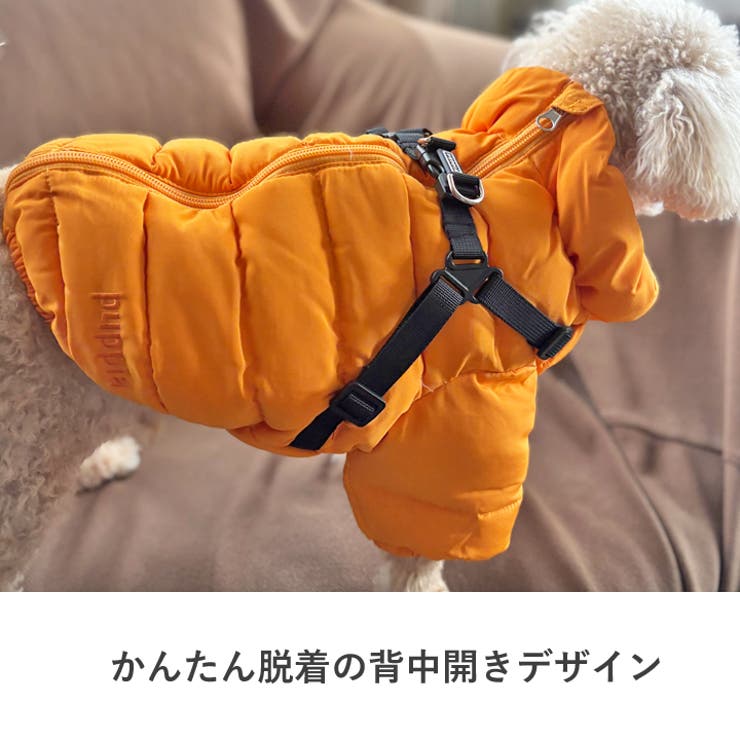 犬 服 犬服[品番：NX000006894]｜K-city（ケイシティ）の