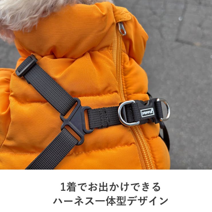 犬 服 犬服 | K-city | 詳細画像10 