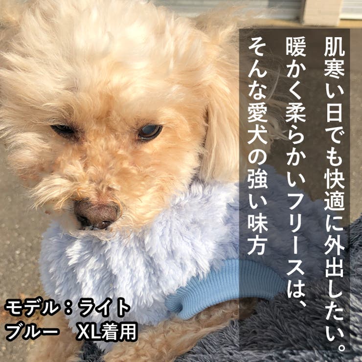 SALE／10%OFF 犬服 魁花 ご確認 犬用品 - sorrentoskies.com