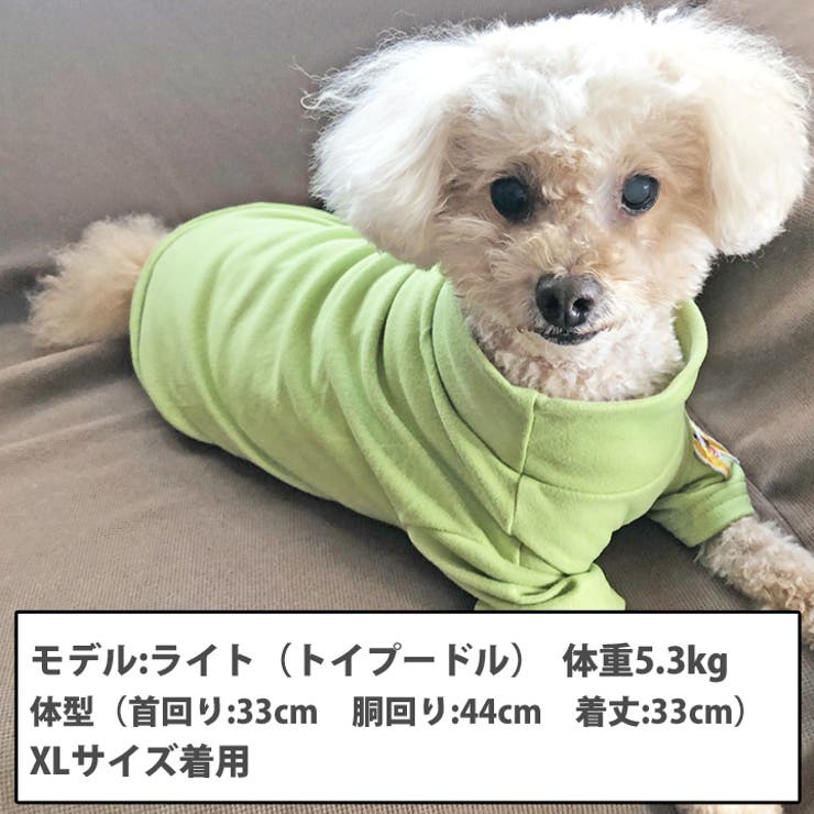 犬 服 犬服 | K-city | 詳細画像3 
