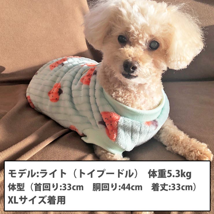 犬 服 犬服[品番：NX000006905]｜K-city（ケイシティ）の