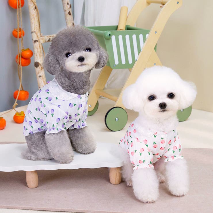犬 服 犬服[品番：NX000006975]｜K-city（ケイシティ）の