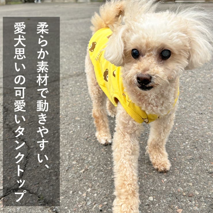 犬 服 犬服 | K-city | 詳細画像2 