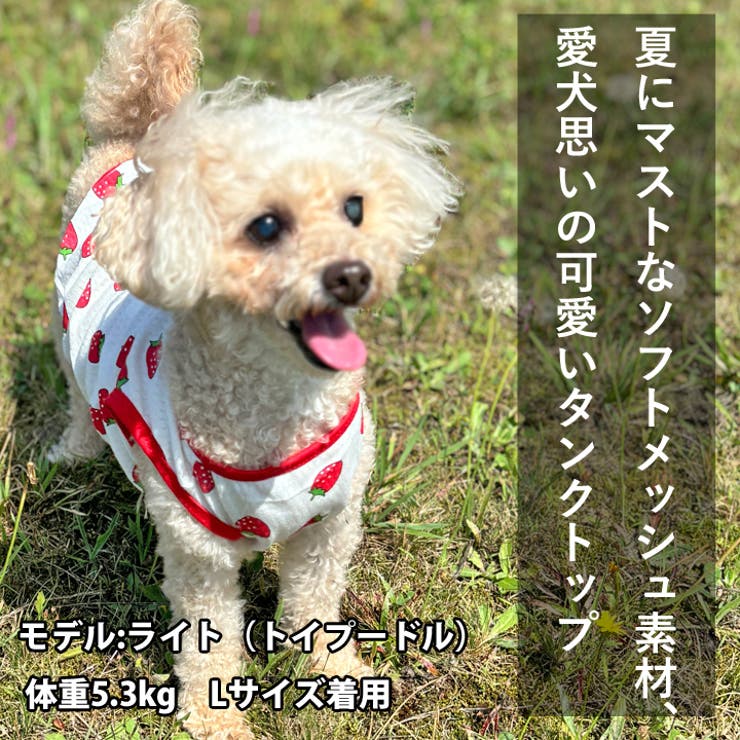 犬 服 犬服[品番：NX000007019]｜K-city（ケイシティ）の