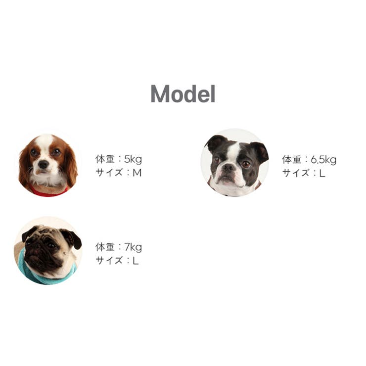 ハーネス 犬 首の負担が少ない | K-city | 詳細画像9 