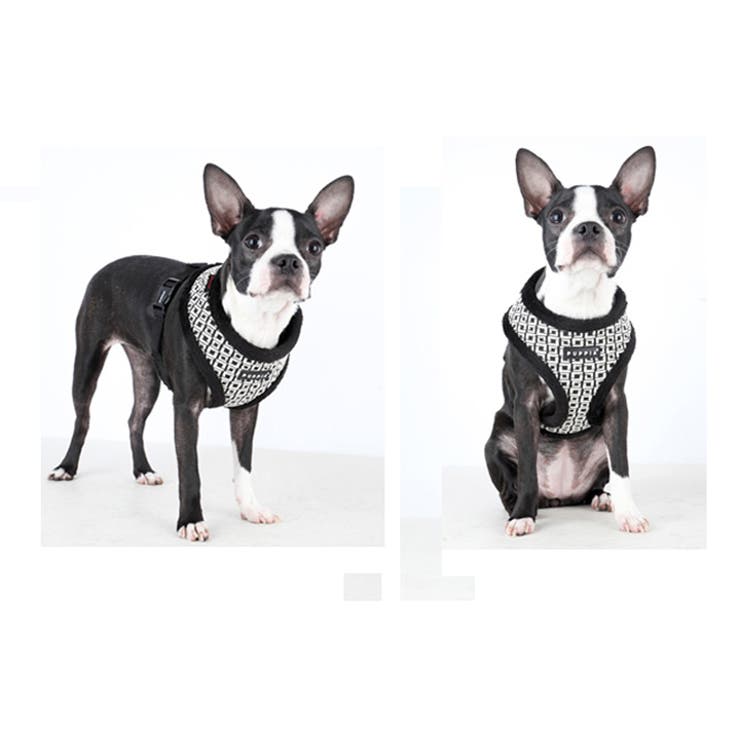 ハーネス 犬 首の負担が少ない[品番：NX000007046]｜K-city