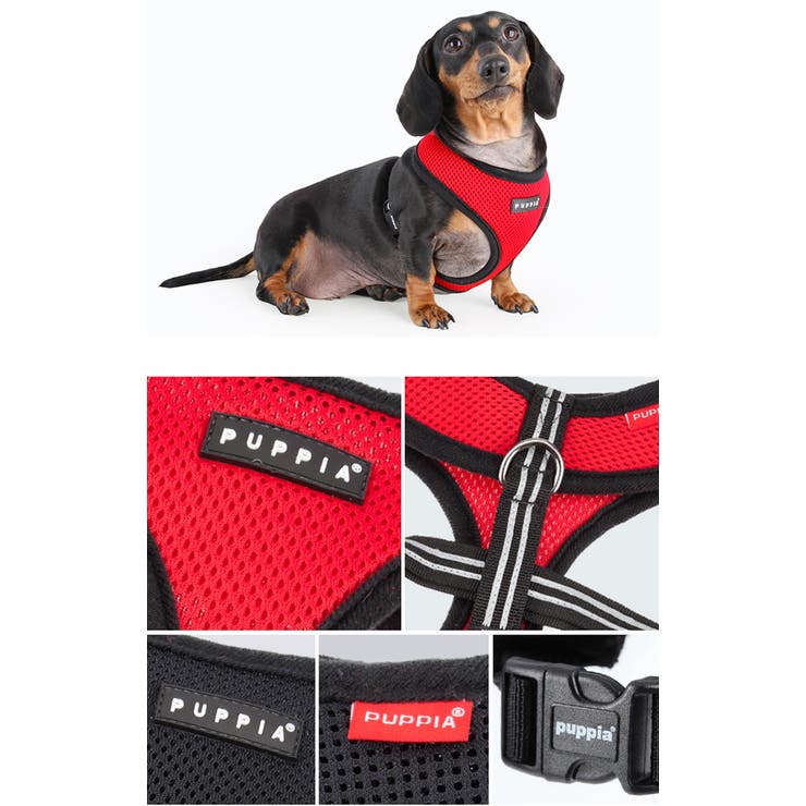 ハーネス 犬 首の負担が少ない | K-city | 詳細画像6 