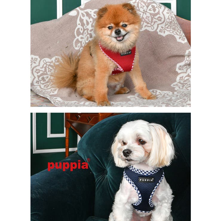 ハーネス メッシュ 犬 | K-city | 詳細画像4 