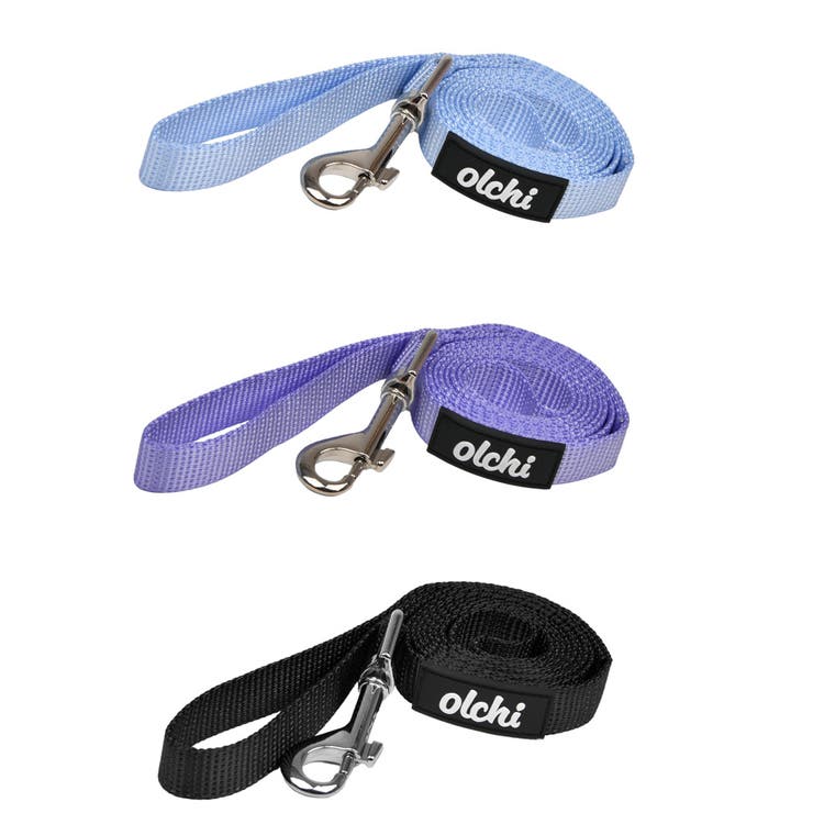 リード カラフル オルチ | K-city | 詳細画像4 