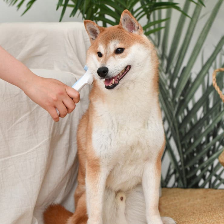 犬 ブラシ 痛くない | K-city | 詳細画像10 