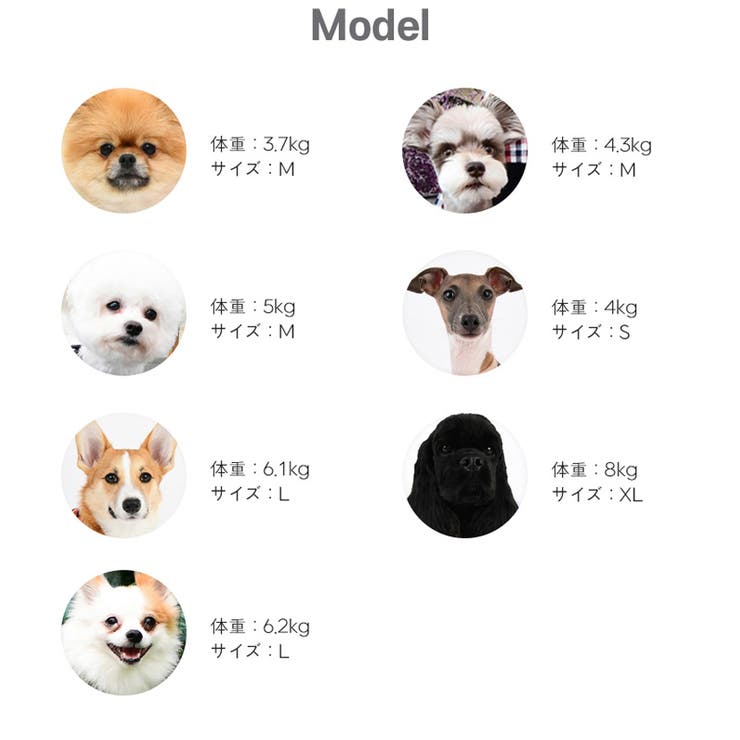 ハーネス 犬 チェック柄 | K-city | 詳細画像9 