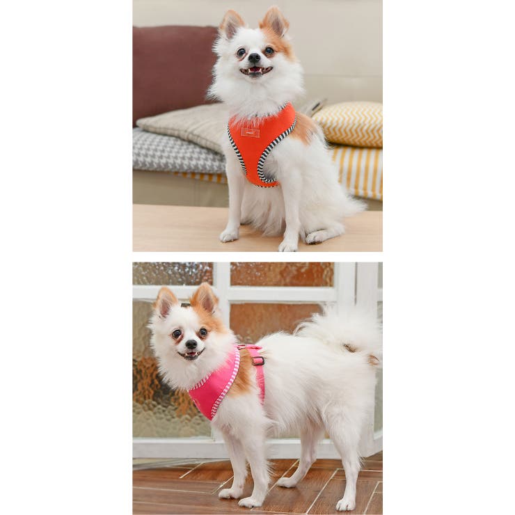 ハーネス 犬 首の負担が少ない | K-city | 詳細画像5 