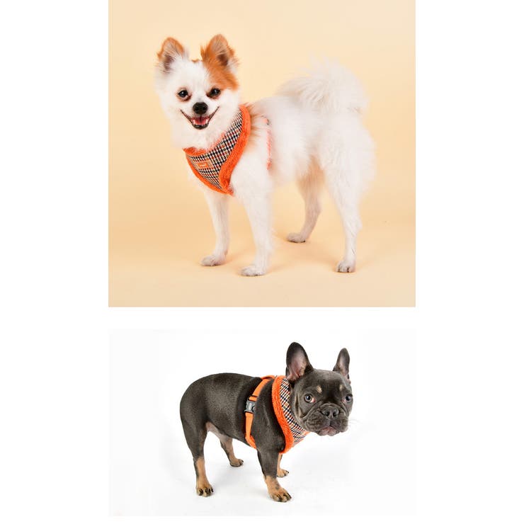 ハーネス 犬 首の負担が少ない | K-city | 詳細画像2 