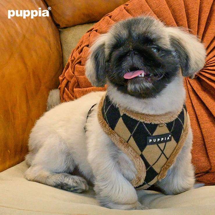 ハーネス 犬 首の負担が少ない[品番：NX000006933]｜K-city