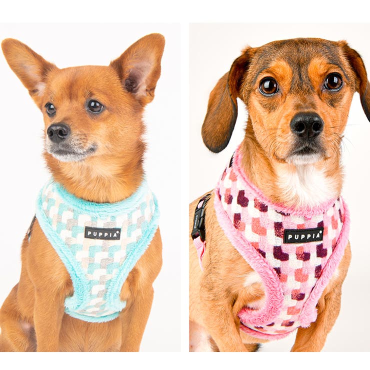 ハーネス 犬 首の負担が少ない | K-city | 詳細画像4 